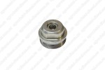 Пробка пары плунжерной F002D13576 Bosch