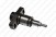 Пара плунжерная 090150-6480 Gamma Diesel